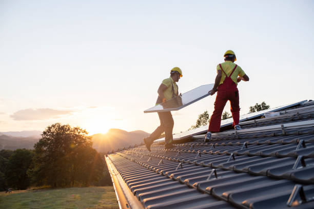 Best Roof Moss and Algae Removal  in Eagle Mountain, UT